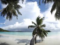 BERJAYA PRASLİN RESORT - SEYCHELLES