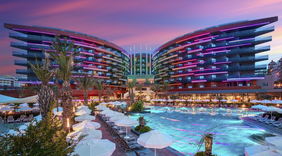 Calyptus Kirman Premium