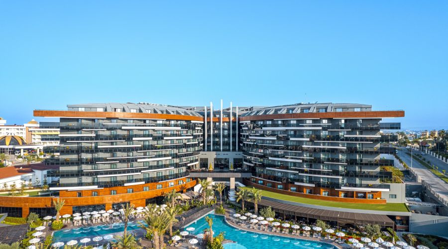 Calyptus Kirman Premium