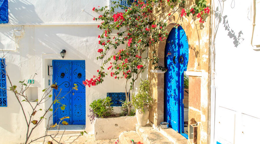 ELEGANT SAHRA ÇÖLÜ & TUNUS HAZİNELERİ