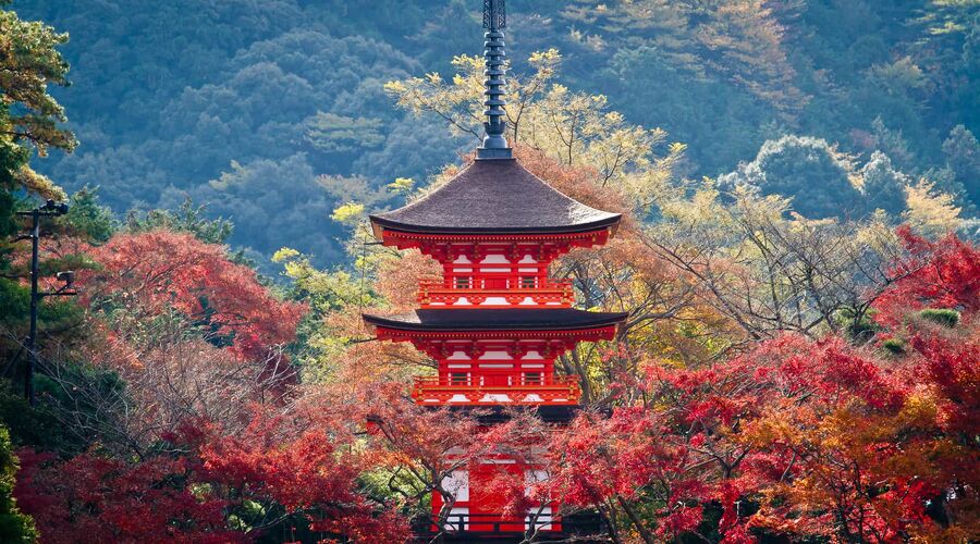 ELEGANT JAPONYA & GÜNEY KORE (Sakura Dönemi) Qatar Hava Yolları 