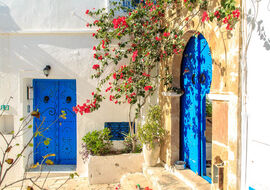 ELEGANT SAHRA ÇÖLÜ & TUNUS HAZİNELERİ