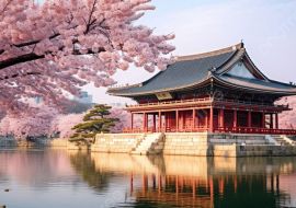 ELEGANT GÜNEY KORE Qatar Hava Yolları ile 5 Gece